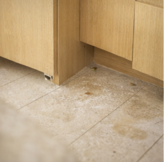 11편. 쓰레기통 냄새 심할 때 효과 있었던 냄새 관리 방법 