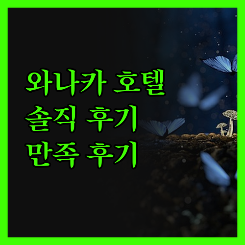 와나카 호텔 진실 후기 위치, 청결,