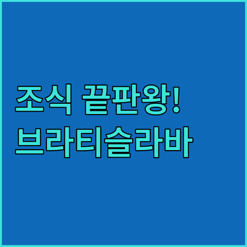 슬로바키아 브라티슬라바 여행 숙소 베..