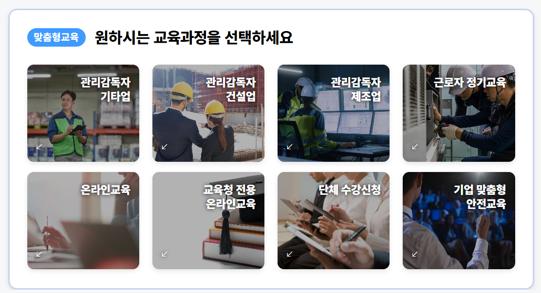 대한안전교육협회 홈페이지 (https://esafetykorea.or.kr)