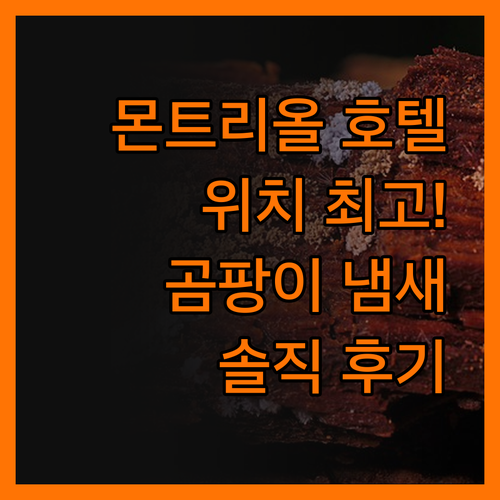 몬트리올 호텔 크롬, 위치는 최고!