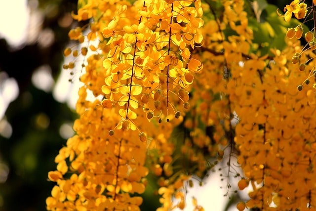 화담숲 홈페이지 예약 사진