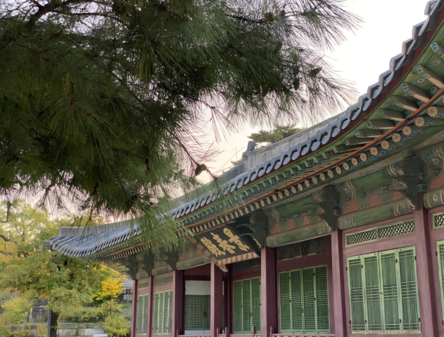 창경궁 무료관람 /창경궁 가는 방법 /창경궁 명소