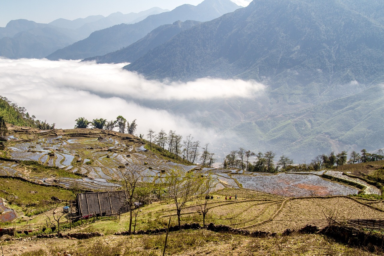 베트남 사파 지역 농경 사진