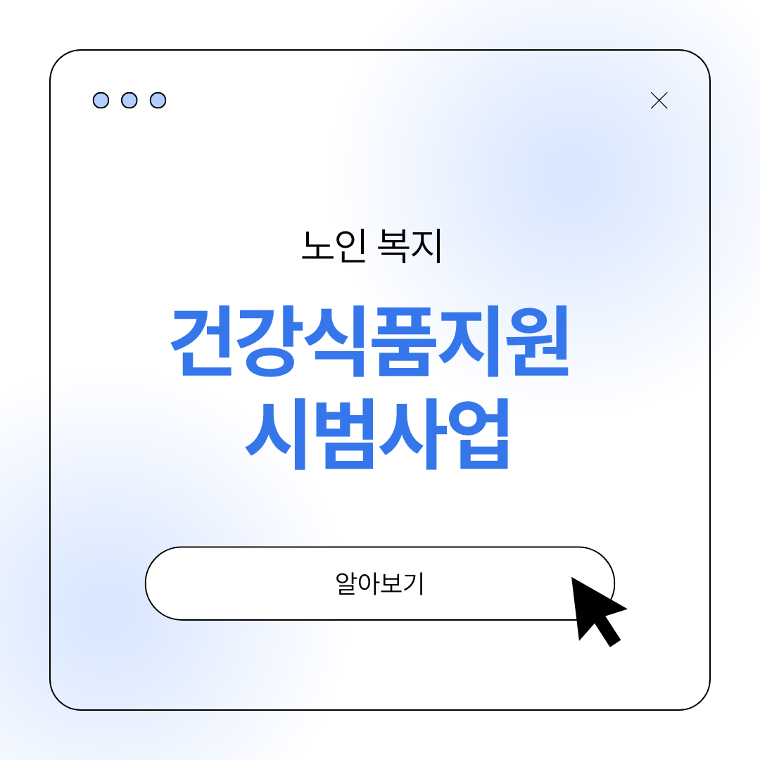 노인 건강식품지원 사업