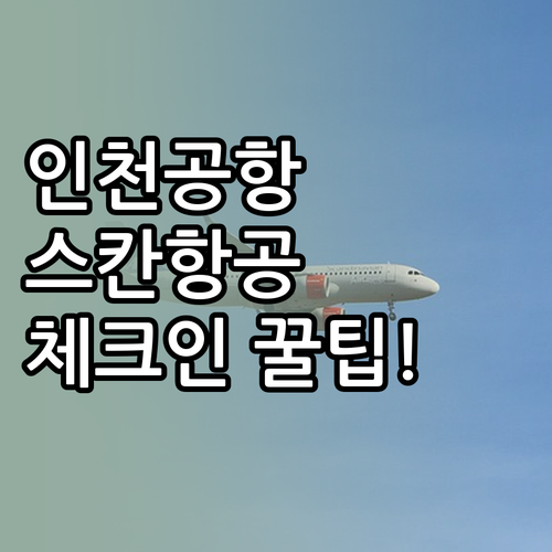 인천공항 스칸디나비아항공 터미널 및 ..