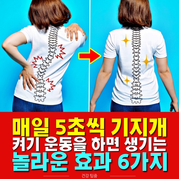 기지개 효과, 기지개 켜기 운동 효과, 휜허리 교정, 건강 팁줌 매일꿀정보