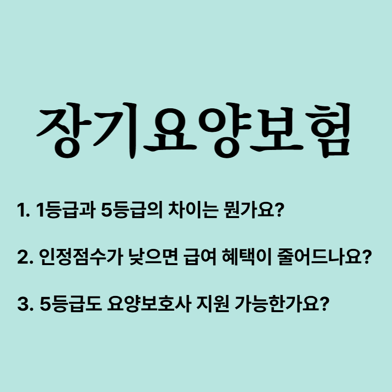 노인장기요양보험