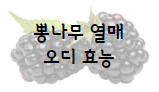 이 이미지를 클릭 하시면 뽕나무 열매 오디 효능 및 부작용에 관한 포스팅으로 이동 됩니다.
