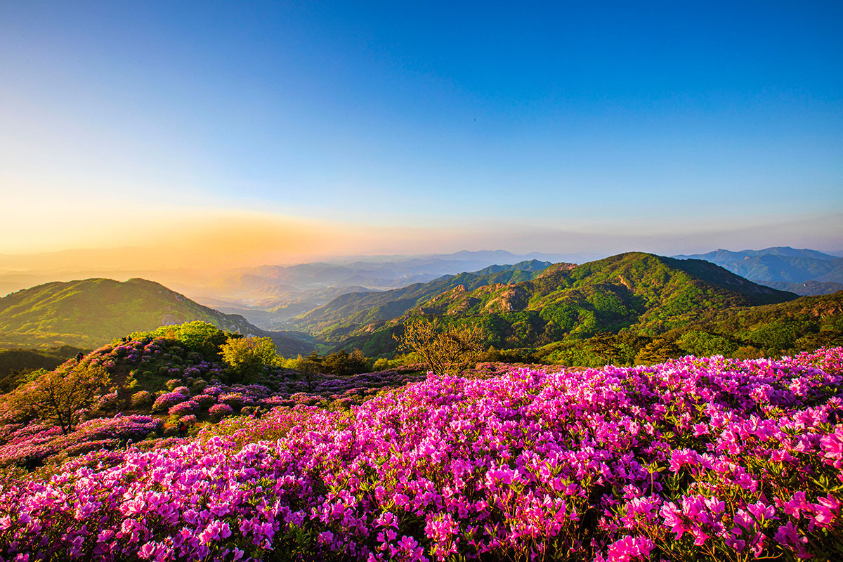 황매산 군립공원 소개 사진 이미지