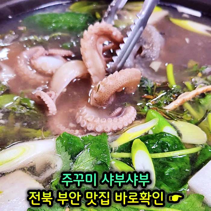 TJB 생방송투데이 부안 곰소 주꾸미 샤부샤부 맛집