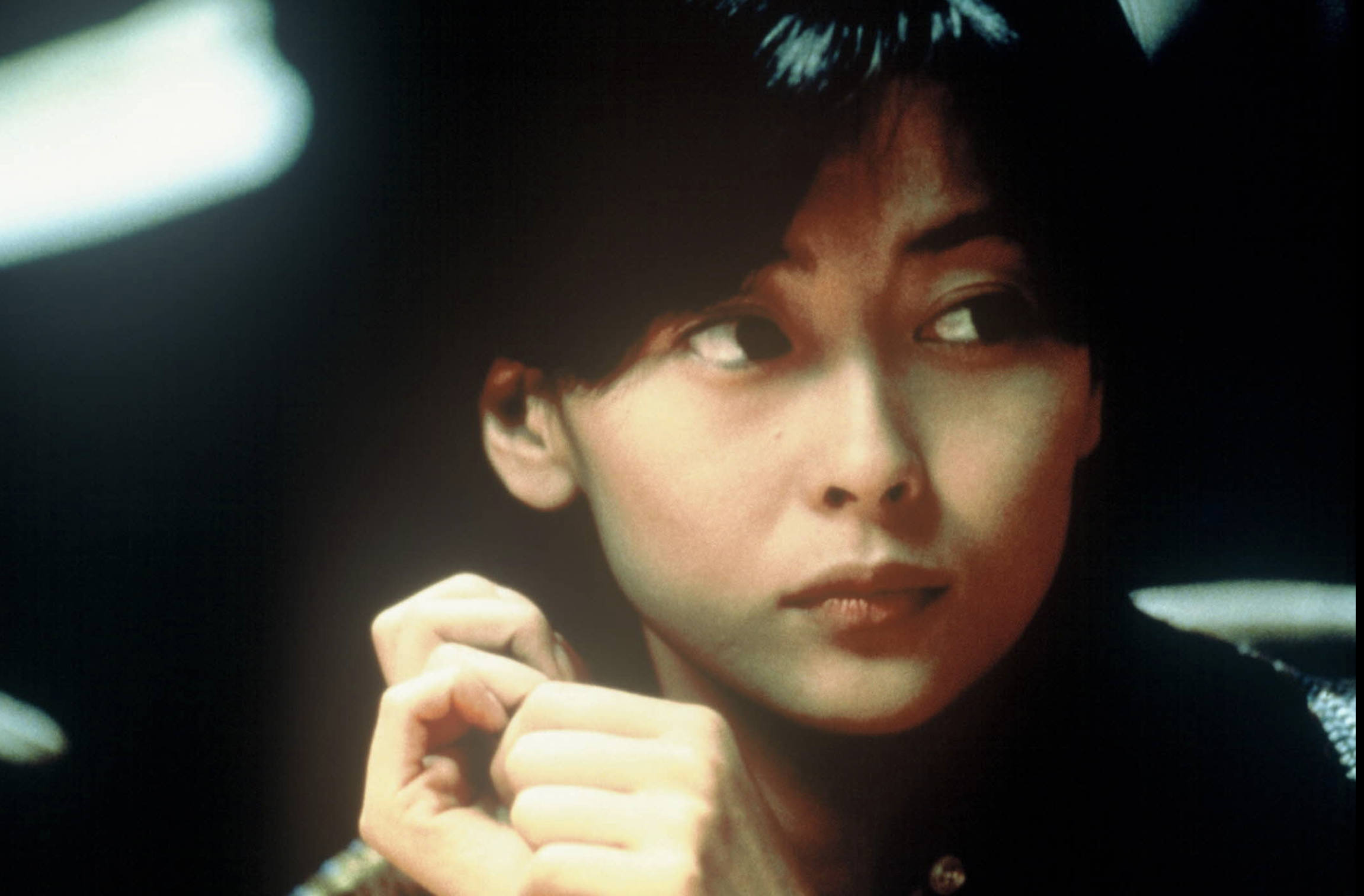 현재상영작 순위 러브레터