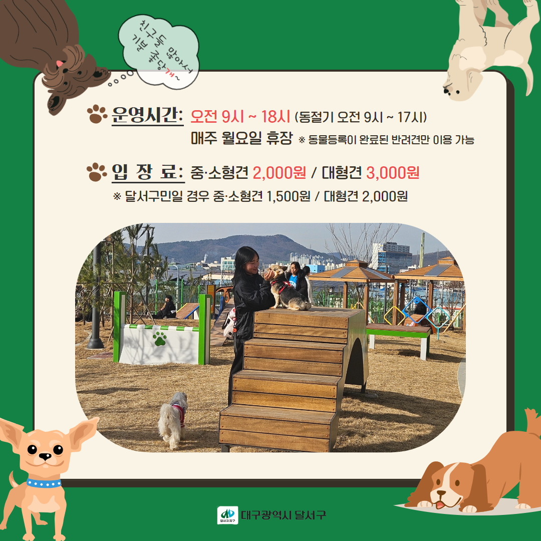 반려견 놀이터를 이용하기 위해서는 동물등록이 완료되어야 해요. 안전을 위한 필수 조치니 꼭 확인해주세요!