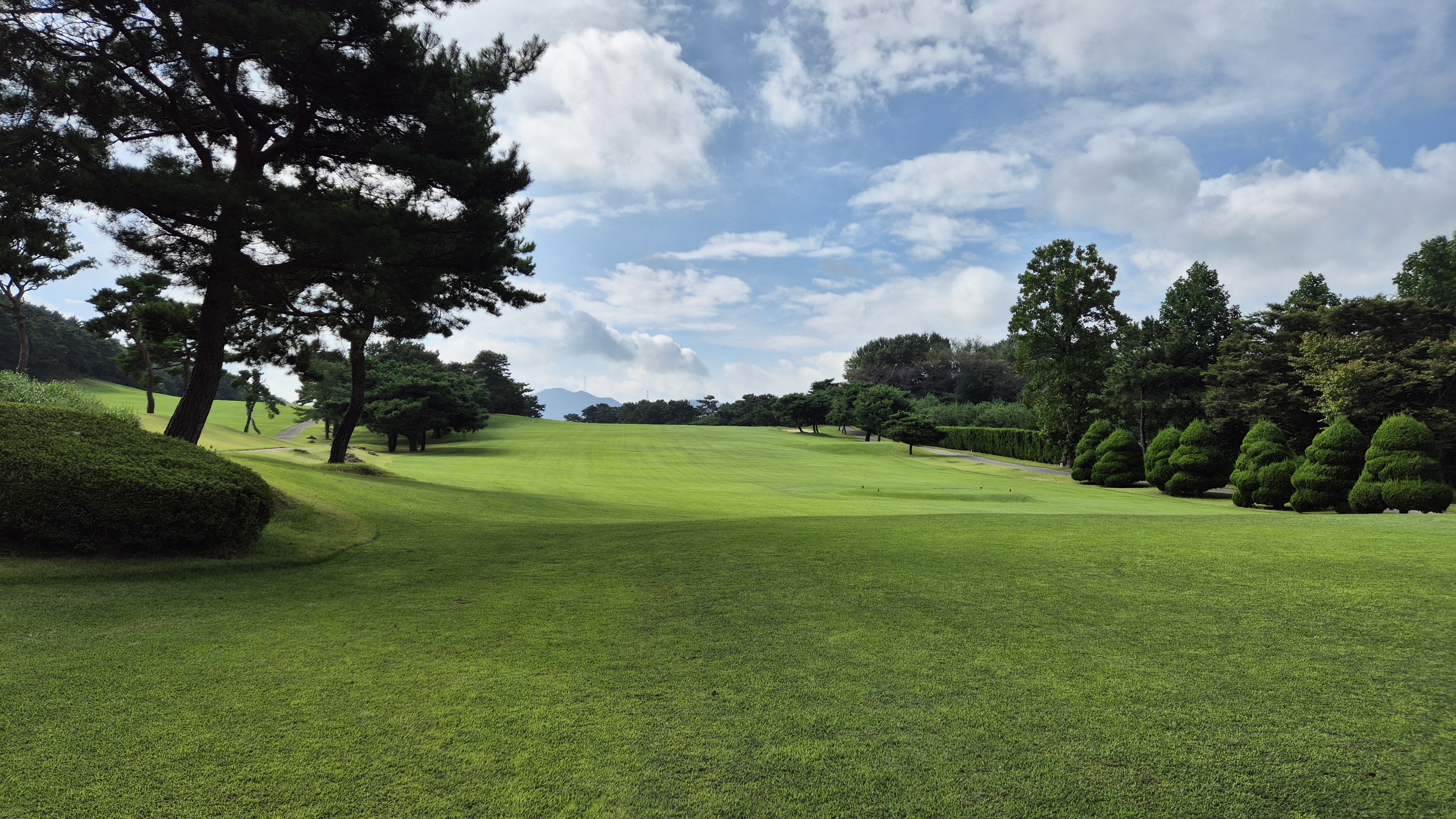 도고cc 코스 사진 및 공략 정보