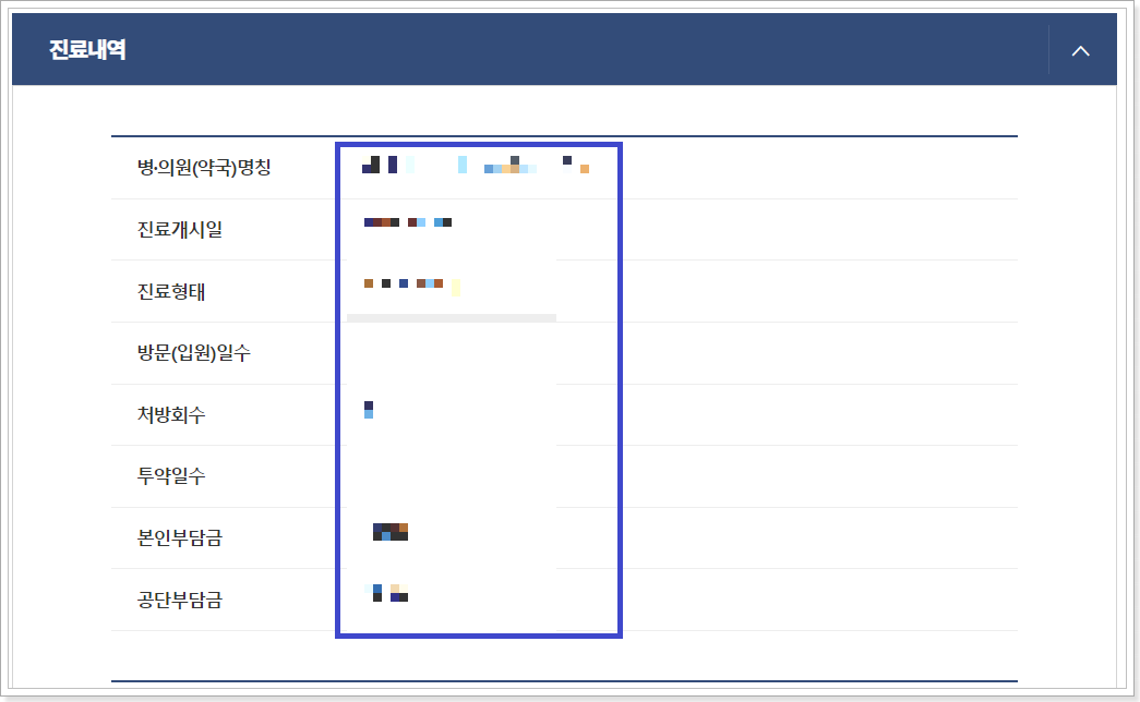 진료비-영수증-인터넷-발급방법-6