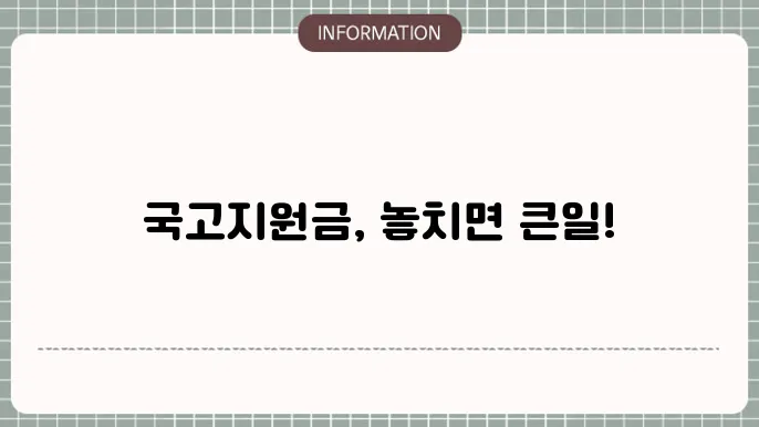 국고지원금 회계 처리: 정확한 처리 방법