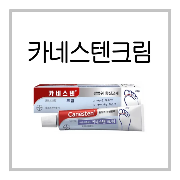 카네스텐크림-이미지