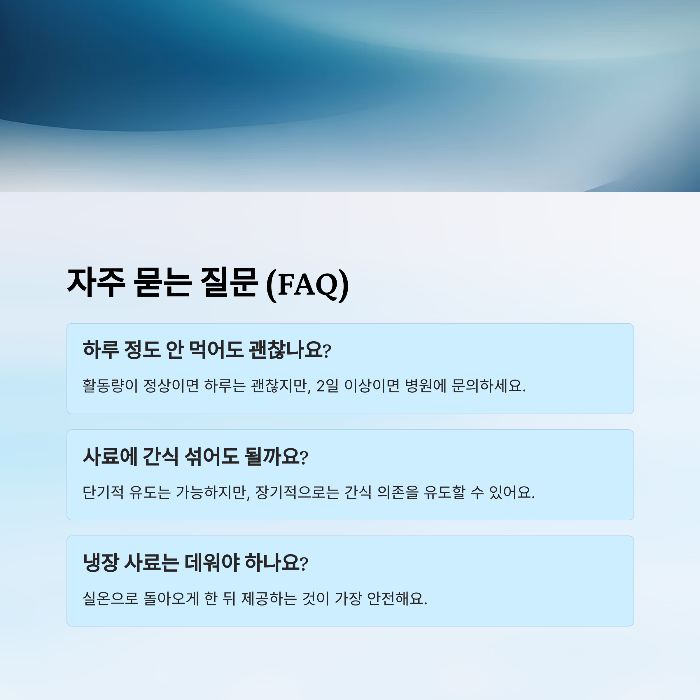 강아지 사료 안먹을때