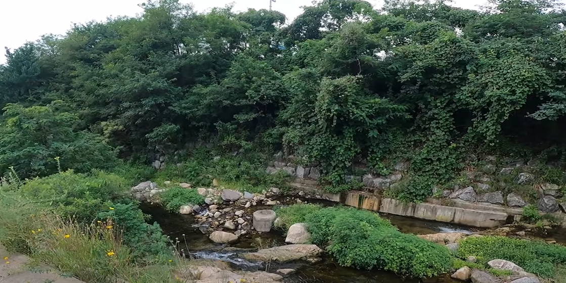 삼막사계곡: 역사와 청정 자연이 공존