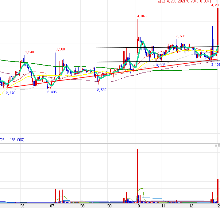 풍강 일봉 차트 분석