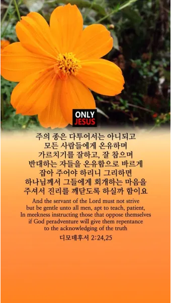 디모데후서 3장 16절 해석 - 모든 성경은 하나님의 감동으로 된 것으로_26