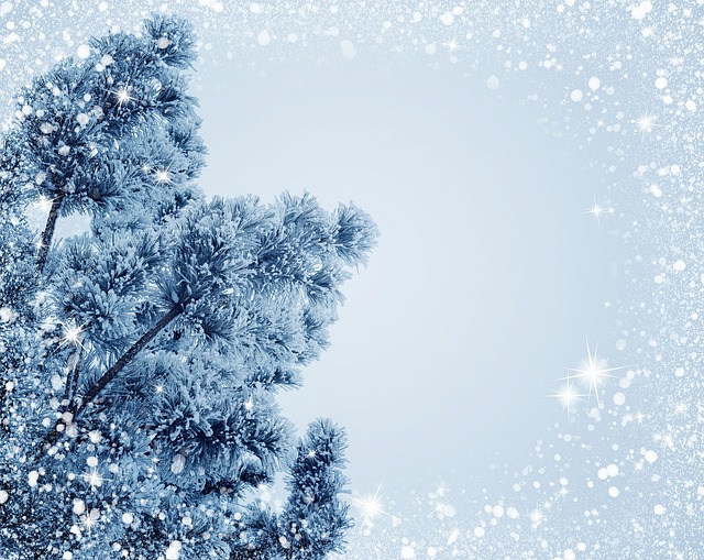 2024년 1월 날씨 눈 내리는 모습