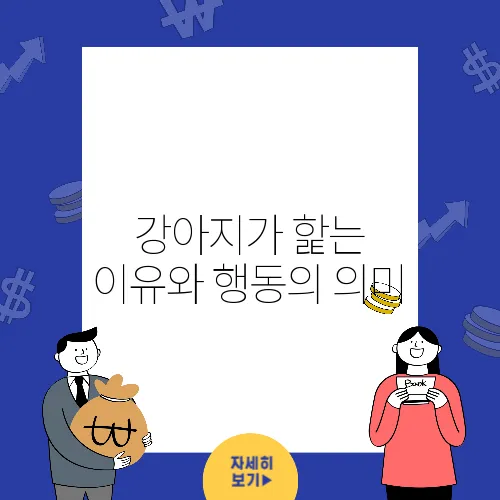 강아지가 핥는 이유와 행동의 의미, 얼굴부터 발까지 모두 알아보자!