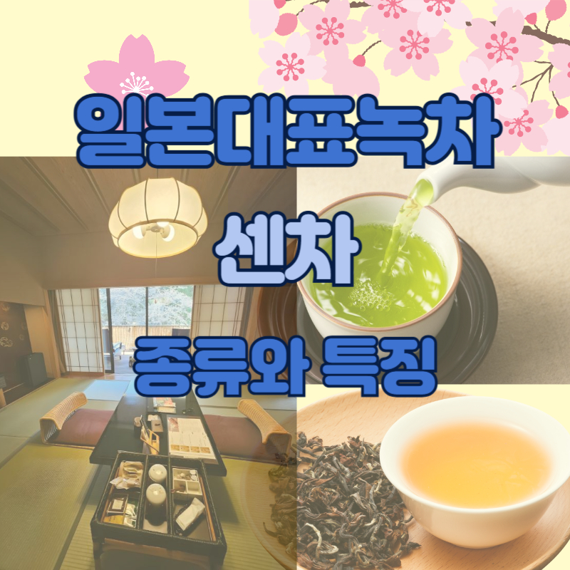 일본대표녹차 센차의 종류와 특징