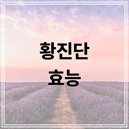 황진단 효능