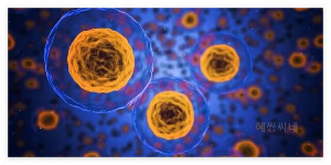 엠폭스 원숭이두창 증상과 원인