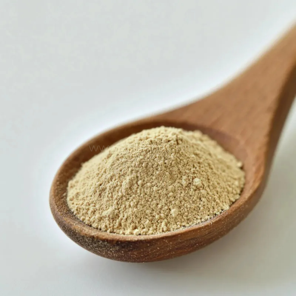 차전자피 (질경이씨) 분말