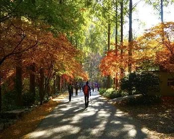 장태산 자연휴양림 예약_27
