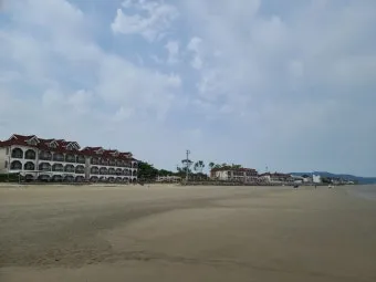 태안 신두리해수욕장 신두리해안사구 자연 풍경과 체험_11