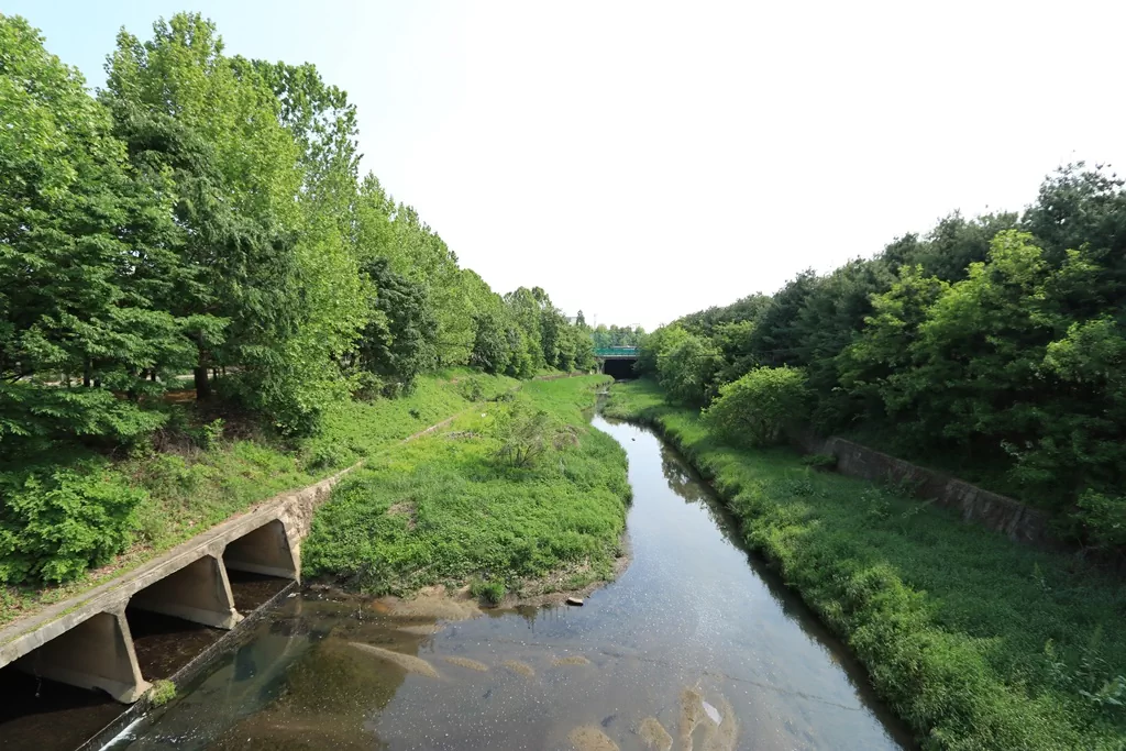 킨텍스를 지나 만나는 가좌천과 평화로운 들판 전경입니다. 도심의 소음을 뒤로하고 농촌의 정취를 느끼기 시작하는 반전 지점입니다.