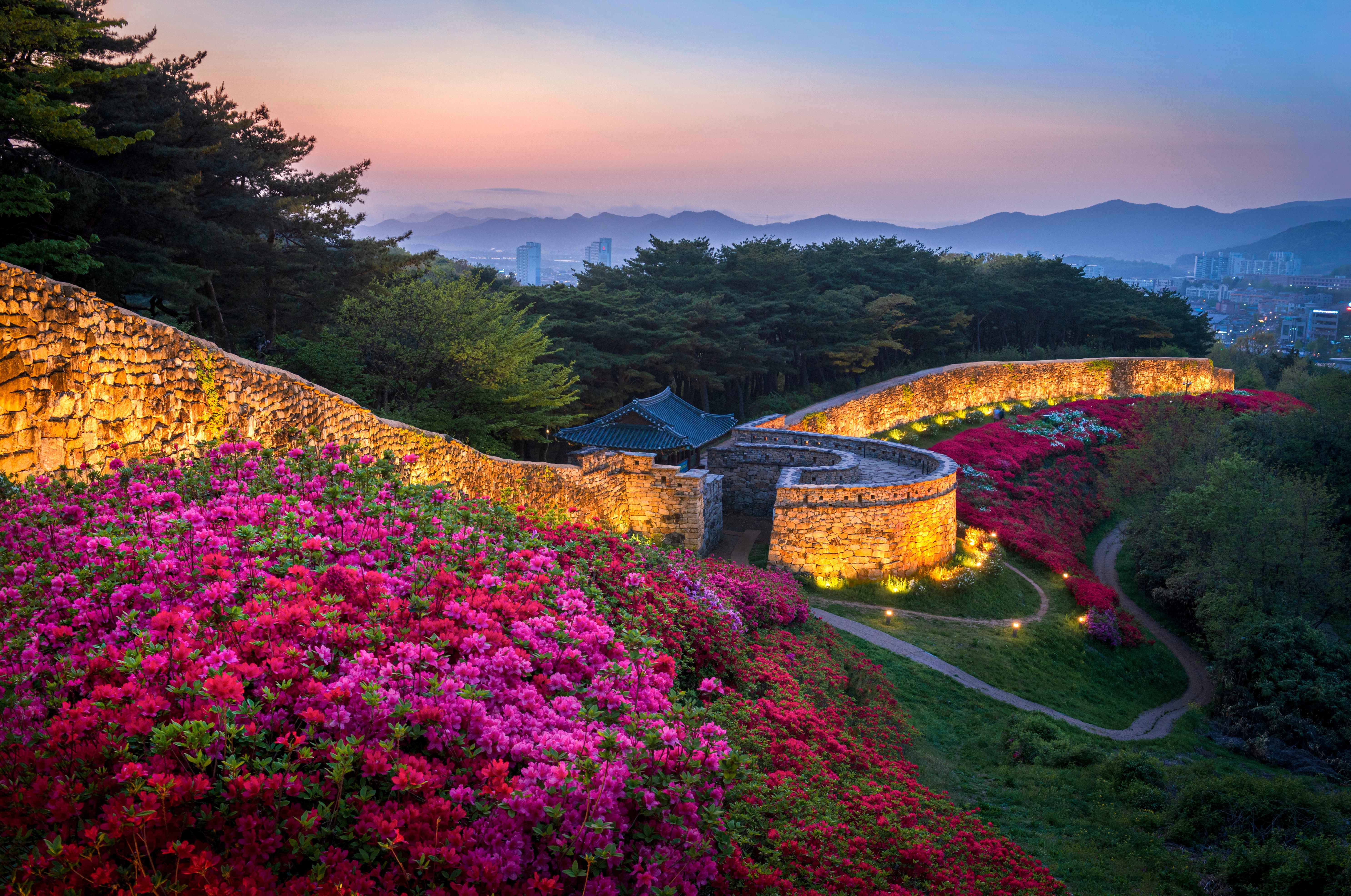 고창읍성 철쭉 야경