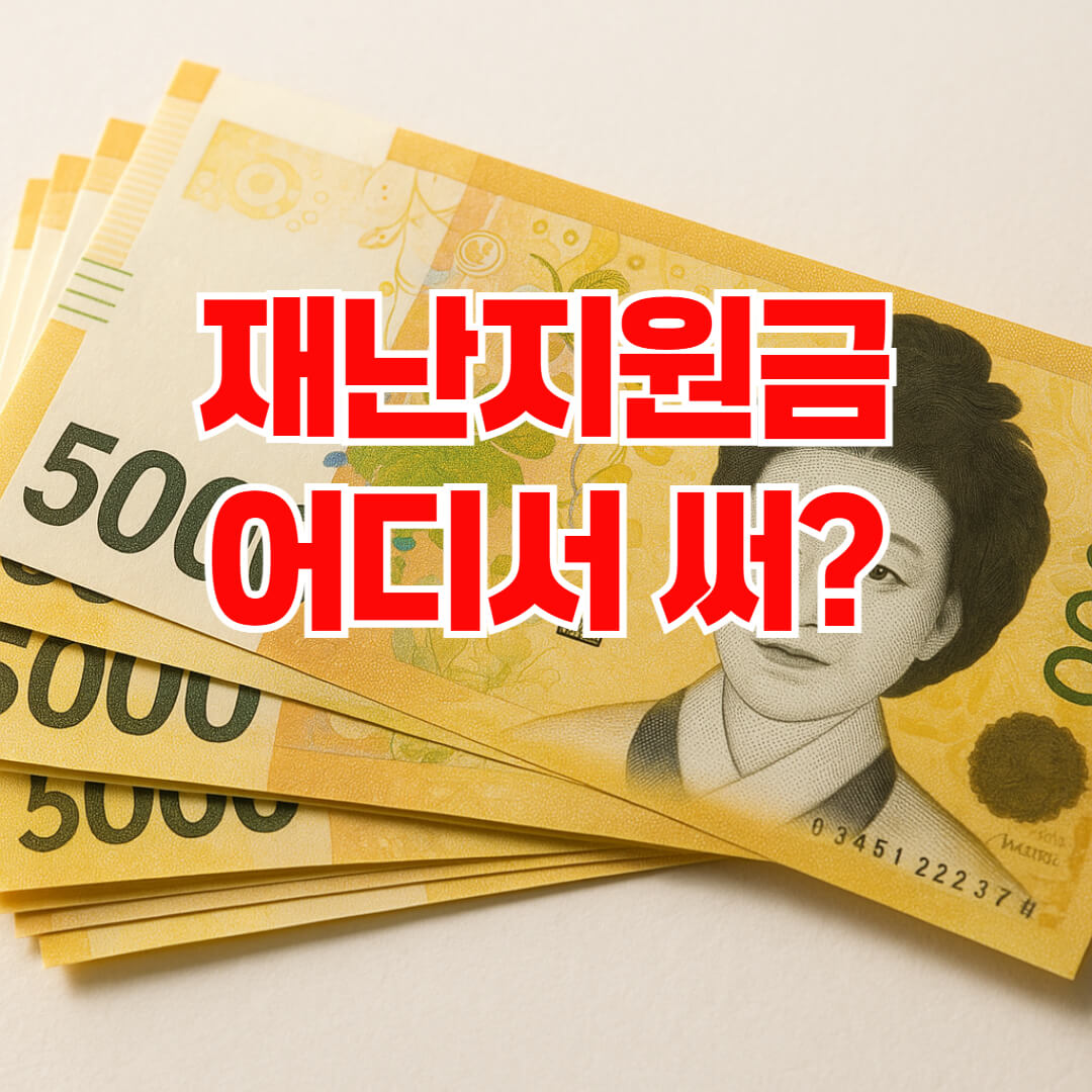 재난지원금