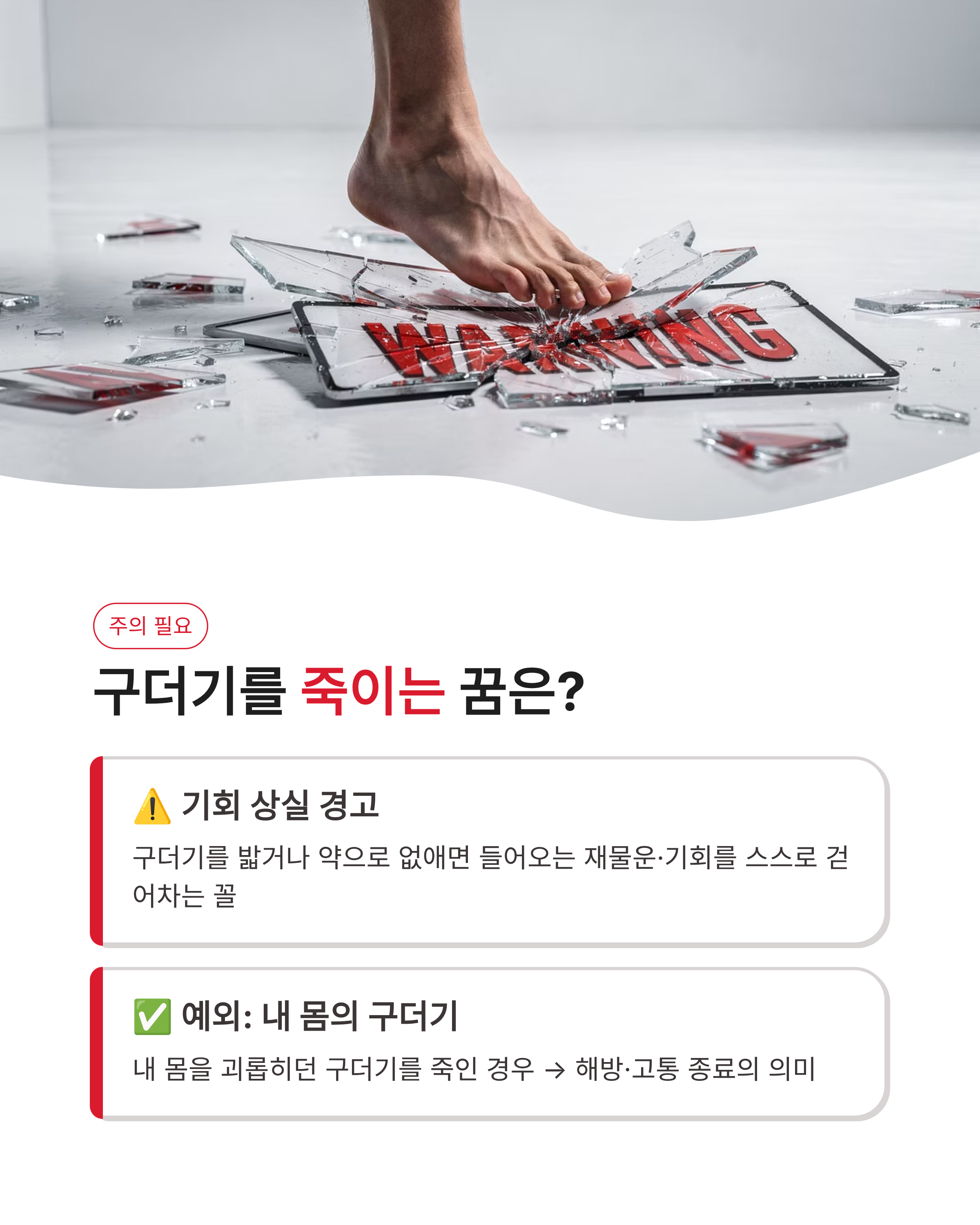 💰 구더기 꿈 해몽 상황별 재물운과 횡재수,몸에서 구더기 나오는꿈,구더기 죽이는꿈 완벽정리