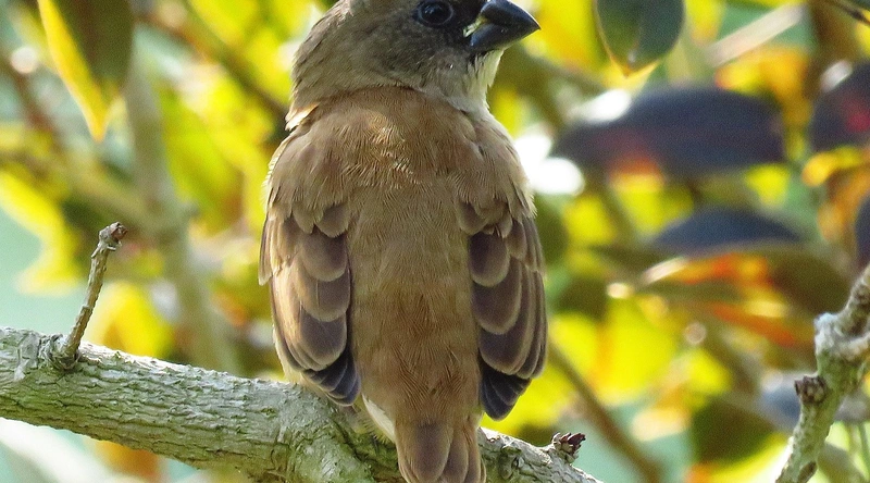 업체의 전문성과 인증