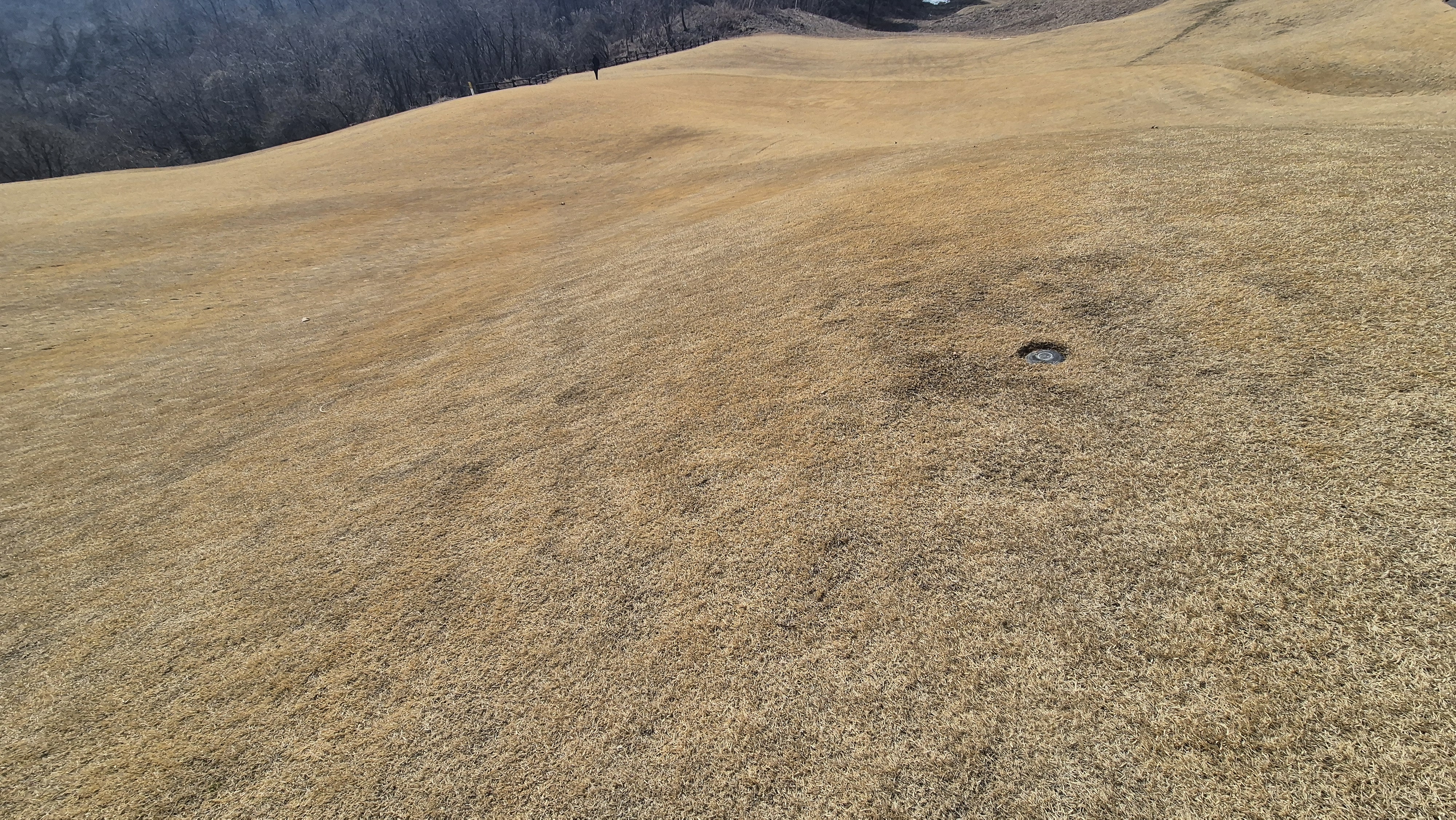 아난티코드gc 잣나무-느티나무 코스 난이도