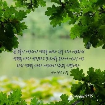 미리암 모세 누나 민수기 12장_15