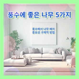 풍수에 좋은 나무 5가지 풍수에서 나무 배치의 중요성과 구체적 방법