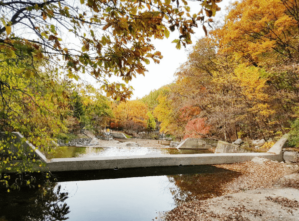 국립 유명산 자연휴양림