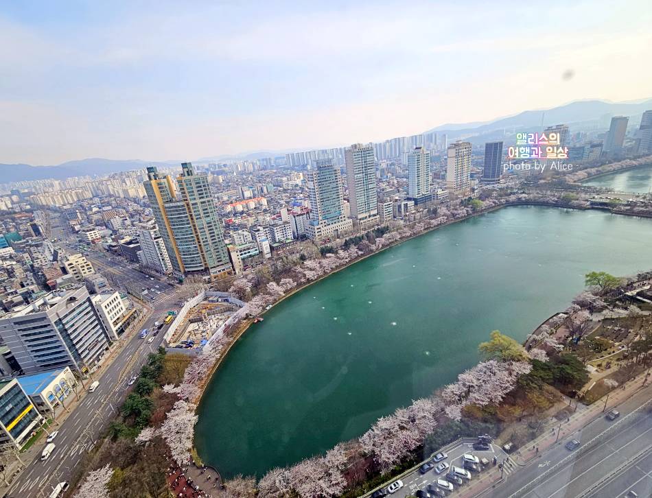 2024년 4월 초 석천호수 벚꽃 상황 + 주변 송리단길 카페 추천 BEST 05