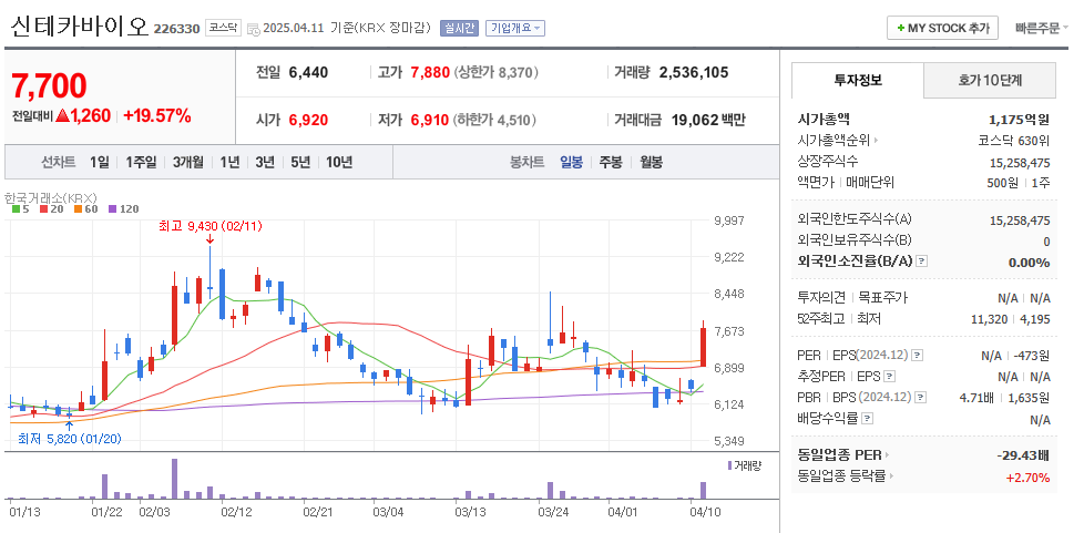 신테카바이오 일봉차트