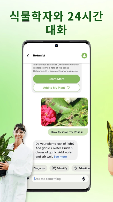 꽃이름 찾기 어풀,꽃 도감, 꽃 식별