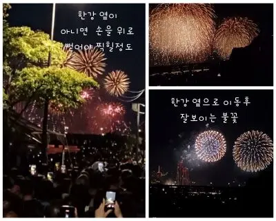 나무사이로 불꽃놀이가 시작되어 사람들이 손을 뻗어 사진찍는 인파