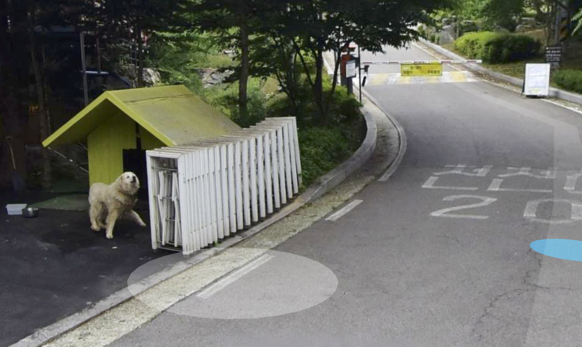 양주에서만난개-로드뷰