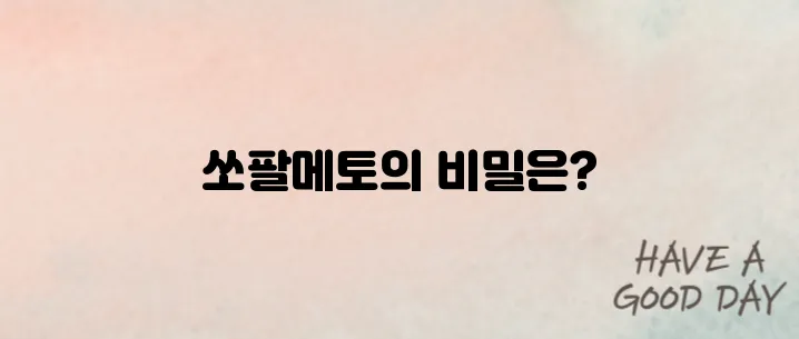 쏘팔메토의 효능 정리와 전립선 건강에 긍정적인 이유를 살펴봅시다.