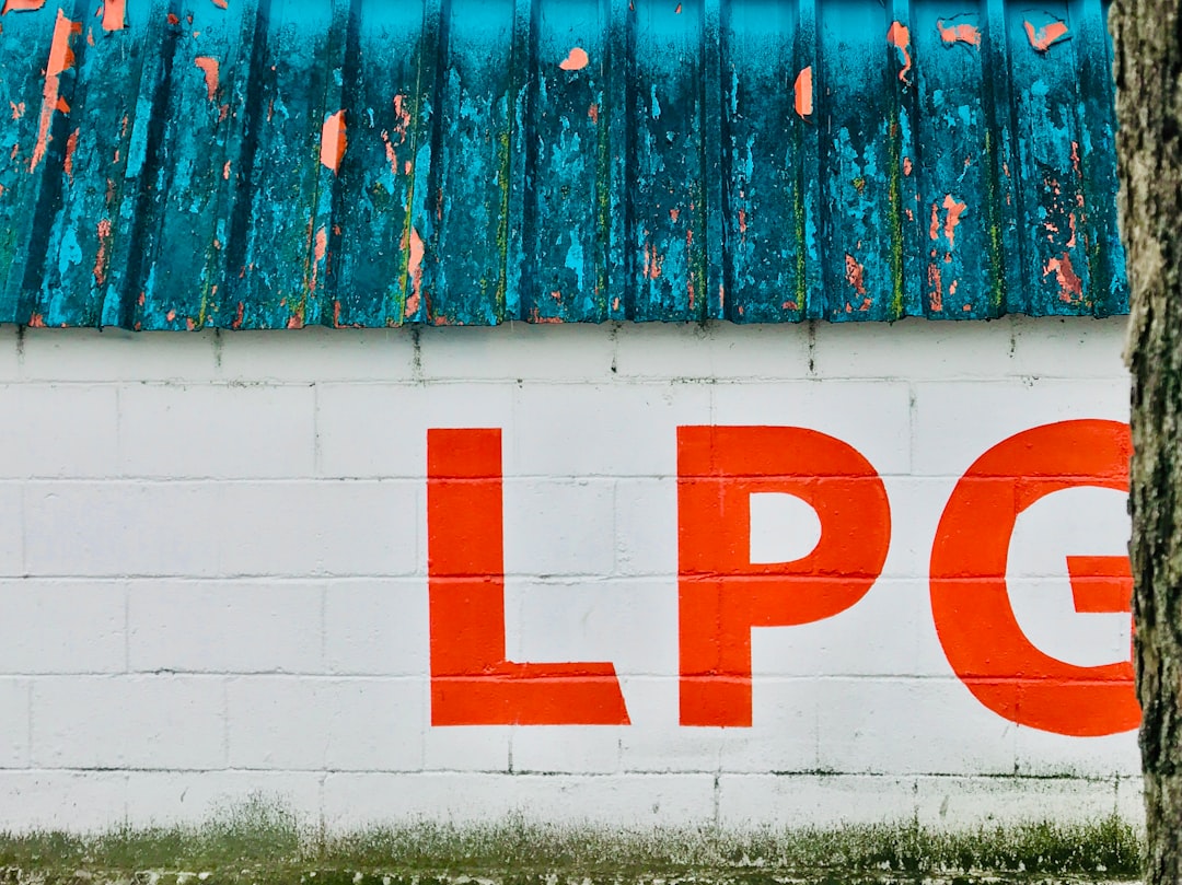 IPO (Initial Public Offering)