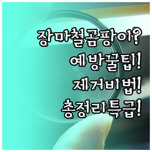 장마철 곰팡이 예방부터 제거까지 총정..
